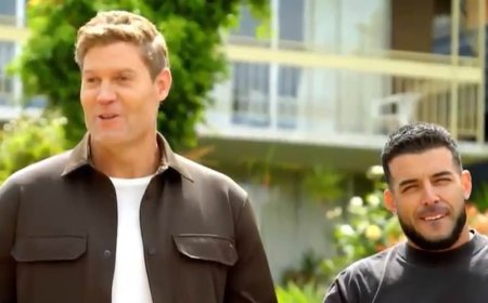 Inside Dr Chris Brown and Adrian Portelli's huge falling out during filming for My Reno Rules as famed TV vet disliked controversial billionaire's 'flashy style'