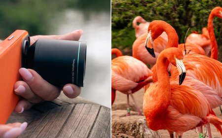 The Reeflex Ultra Telephoto Powers Up Photography on iPhone and Galaxy