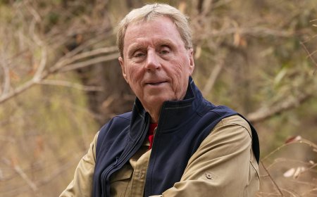 Harry Redknapp says Adam Thomas 'really lost his head' with Jimmy Bullard as he wades into explosive I'm A Celeb row and explains why he didn't get involved before