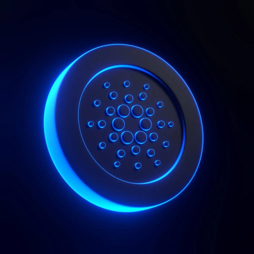 Cardano (ADA) Holds $0.24 Support as Whale Activity Surges and Stablecoin TVL Doubles