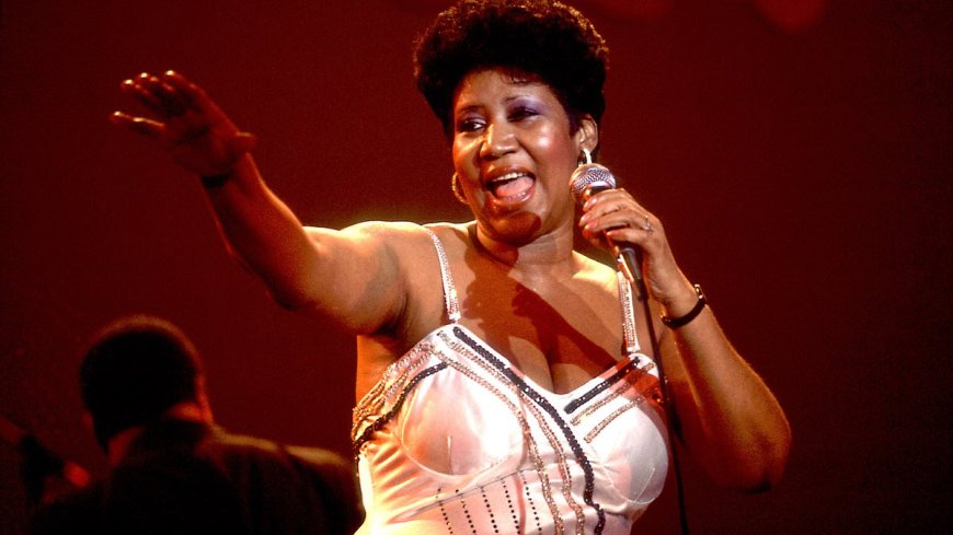 Hollywood costume designer reveals vile name Aretha Franklin used for whites during trip to her filthy mansion, music icon who was too busy having SEX to see him - and A-list singers who were lovely