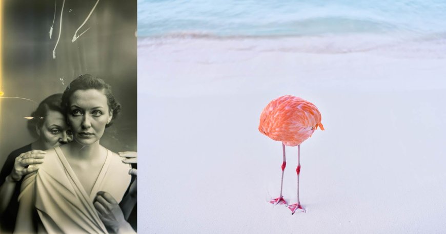 A Necessary Critique of Fontcuberta’s Algorithmic Photography