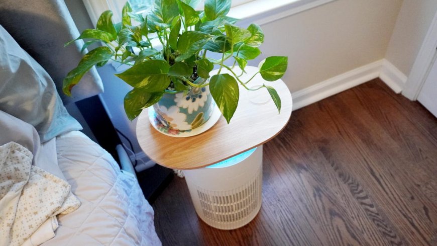 How my smart home became my best defense against brutal spring allergies - and pollen