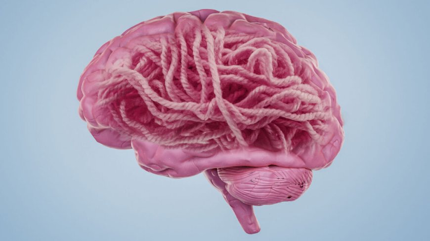 What’s the deal with Alzheimer’s disease and amyloid?