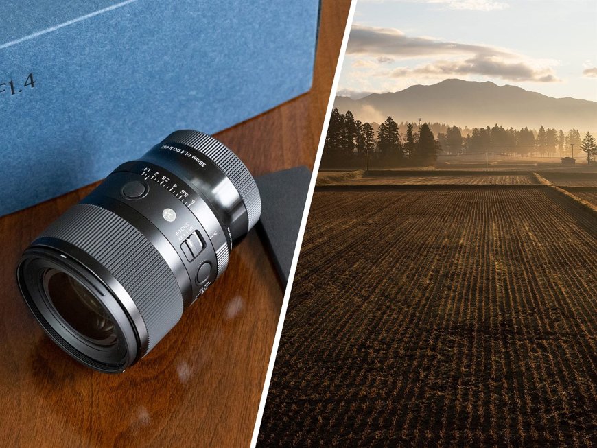 How Sigma is quietly saving Japanese ecosystems by farming rice