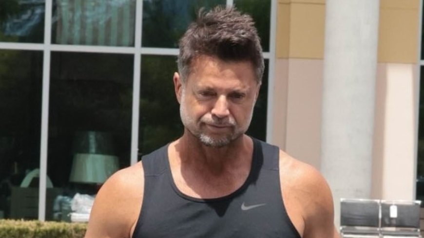Baywatch star David Charvet pictured after accidentally killing dog with his truck as he breaks silence on horror collision
