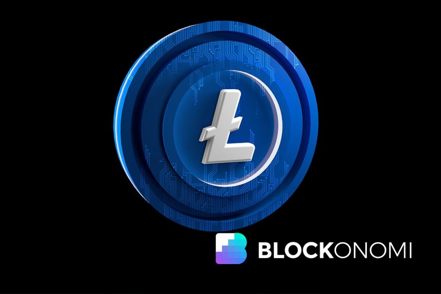 LitecoinVM Testnet Sees 230K Transactions as Developer Activity Reawakens Network