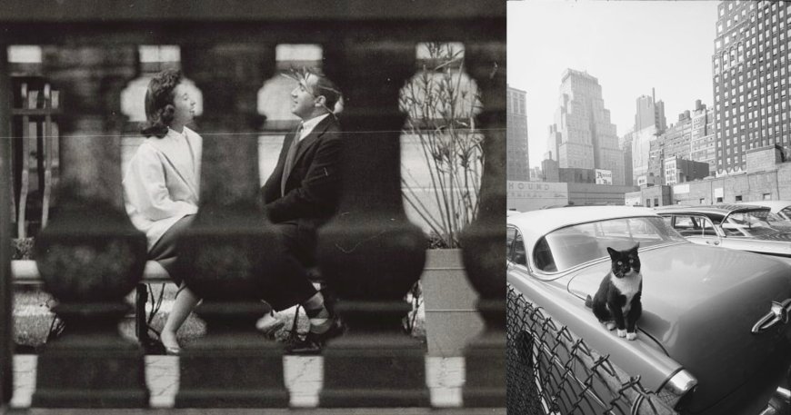 The Other Vivian Maier: The Street Photography of Angelo Rizzuto