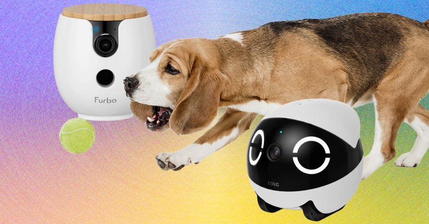 The 10 Best Pet Cameras of 2026: Furbo, Petcube, and Enabot