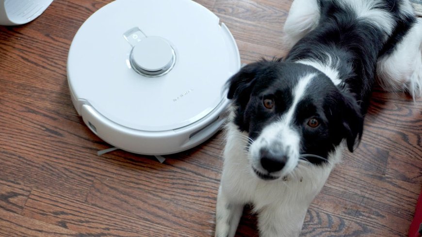 The best robot vacuums for pet hair for 2026: Expert and lab tested