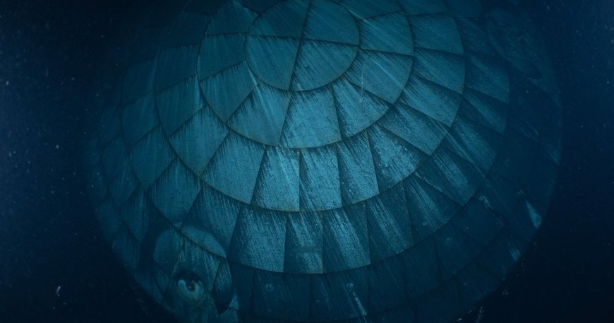 Haunting NASA Photo Shows Artemis II Heat Shield in the Ocean