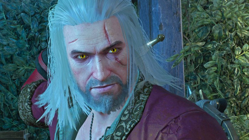 What is the max level in The Witcher 3: Wild Hunt?