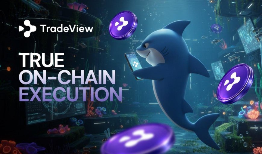 Binance (BNB) Price Prediction: Is $1000 Dreams Asking to Much? Analyst Break Down Why TradeView Is Better Positioned