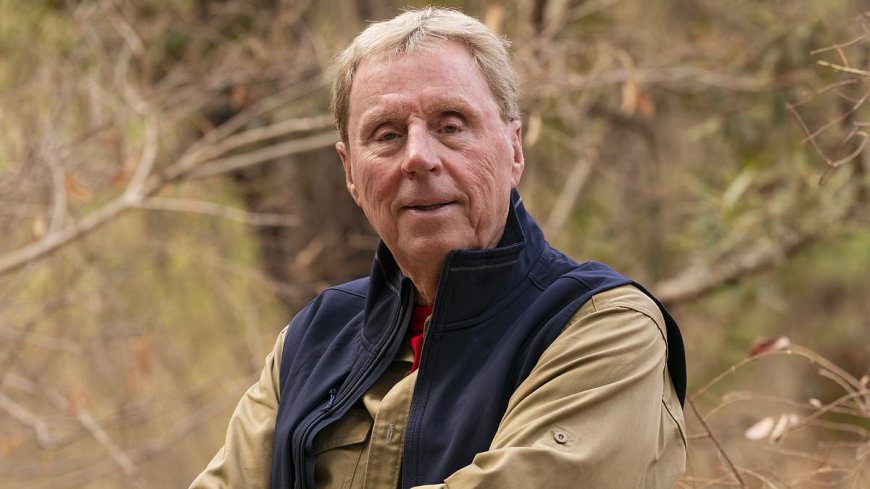 Harry Redknapp says Adam Thomas 'really lost his head' with Jimmy Bullard as he wades into explosive I'm A Celeb row and explains why he didn't get involved before