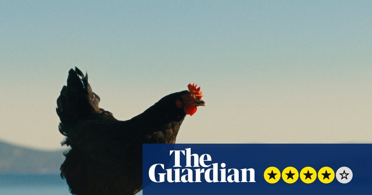 Hen review – plucky chicken beats the odds in weirdly uplifting survival story