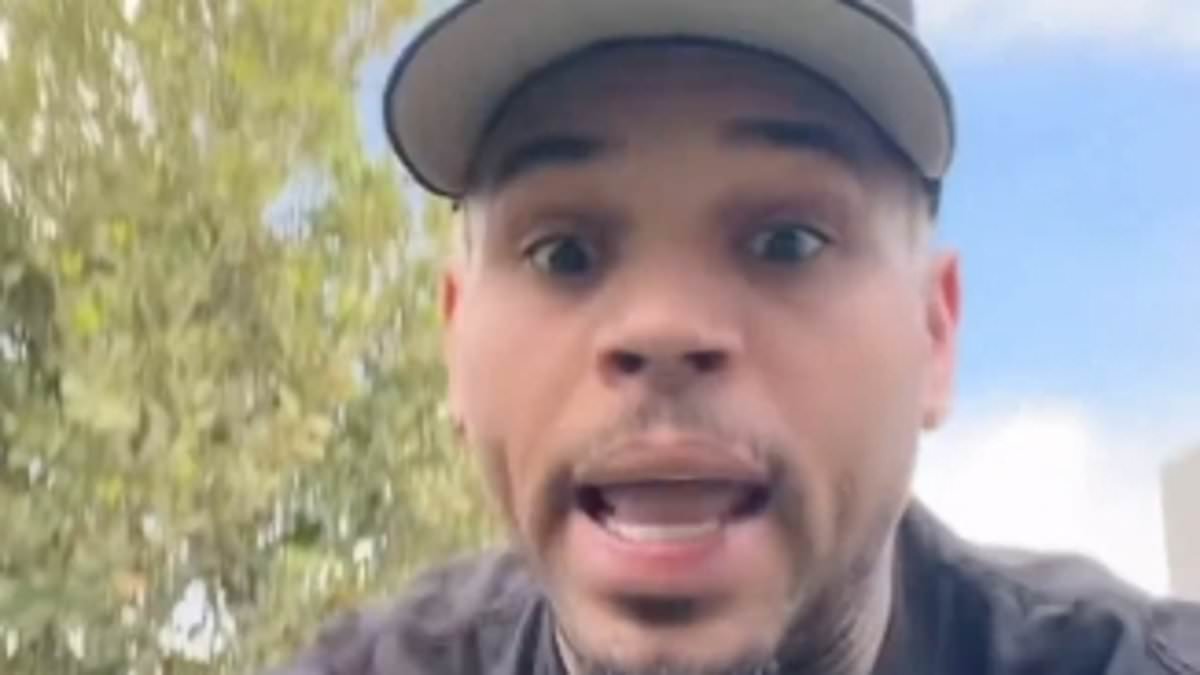 Chris Brown goes into meltdown over abysmal viral album reviews and lashes out at Zara Larsson after she labelled him an 'abuser'