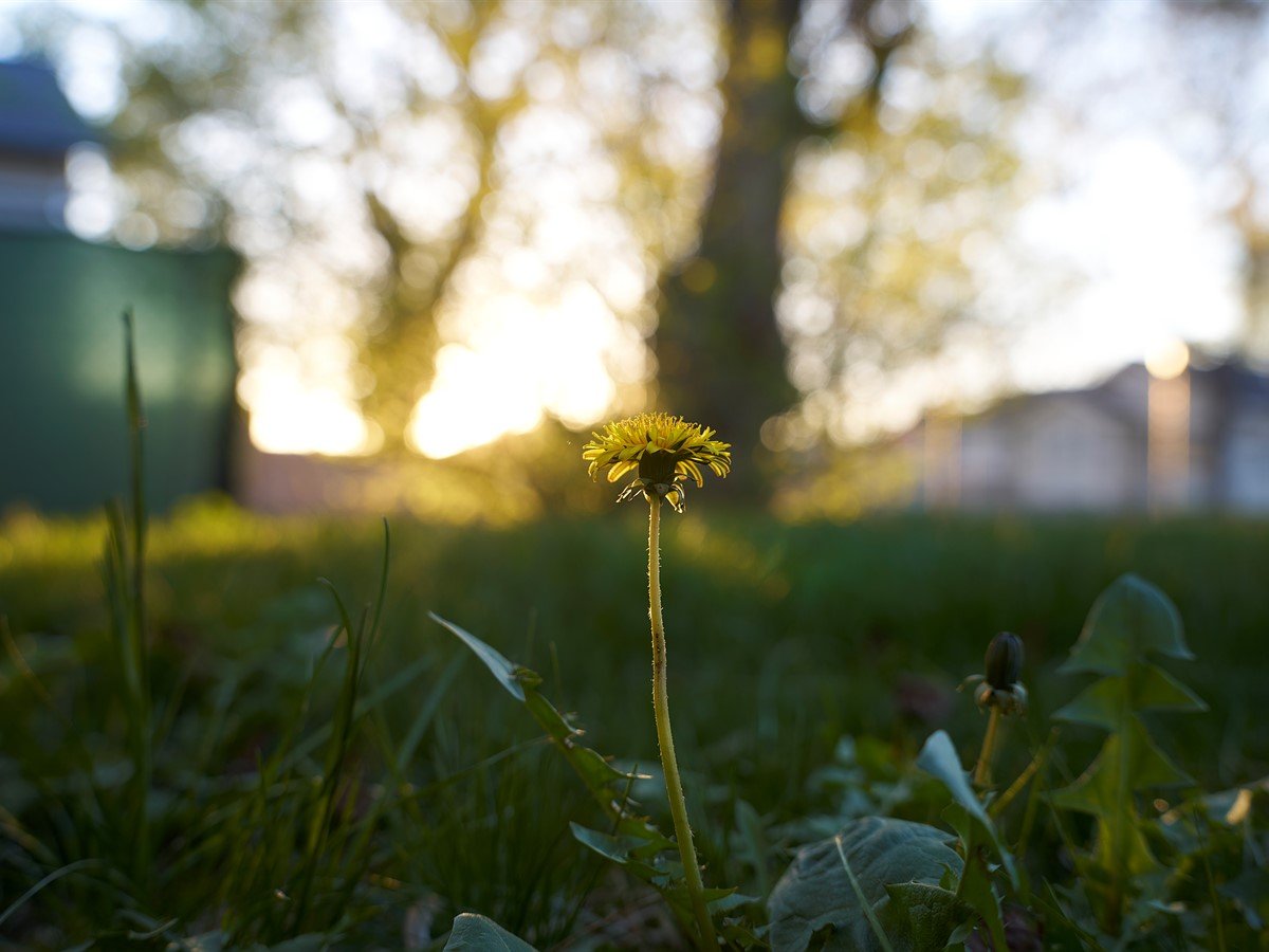 We put Thypoch's new autofocus zoom to the test