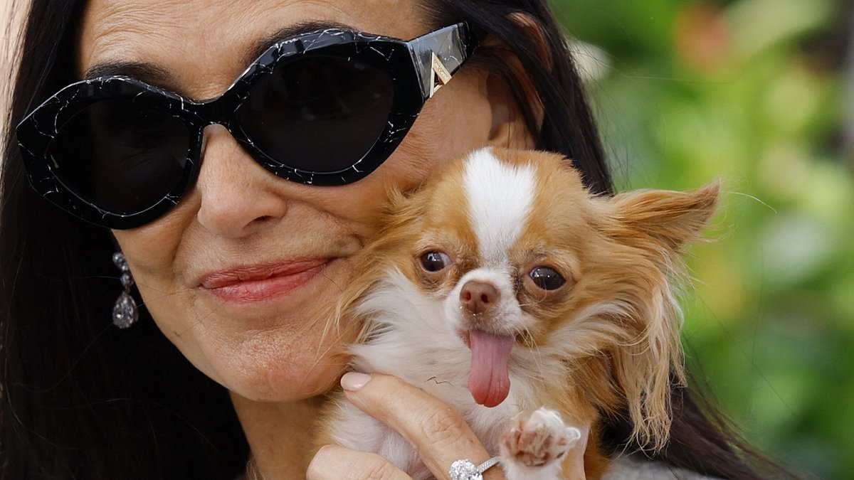 Demi Moore reveals her heartbreak after losing her 'pocketful of love' micro chihuahua PIlaf