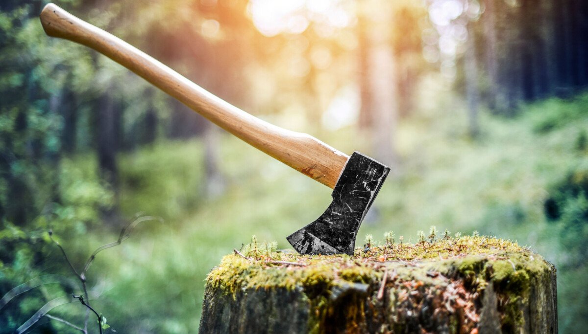 HackerOne takes an axe to its bug bounty rewards