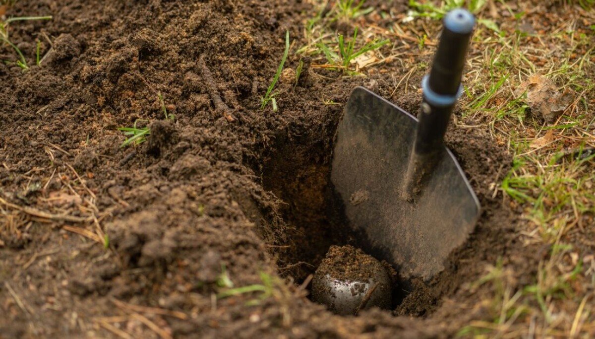 macOS 27 threatens to bury Time Capsule, FOSS brings a shovel