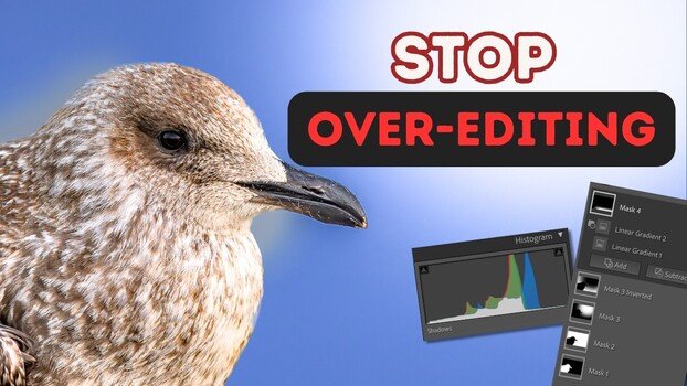 Five Editing Mistakes That Make Your Bird Photos Look Fake