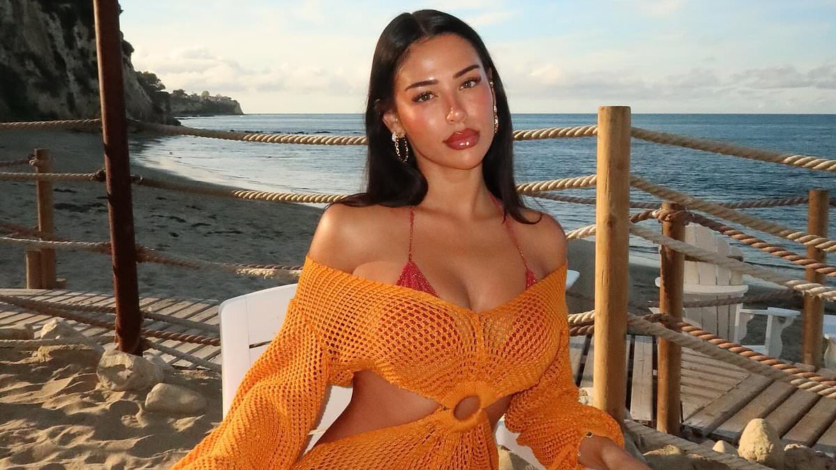 Meet the new WAGS on the block: They might be brainy - with a lawyer and an AI expert among them - but they still love a wild party and a designer handbag, writes KATIE HIND