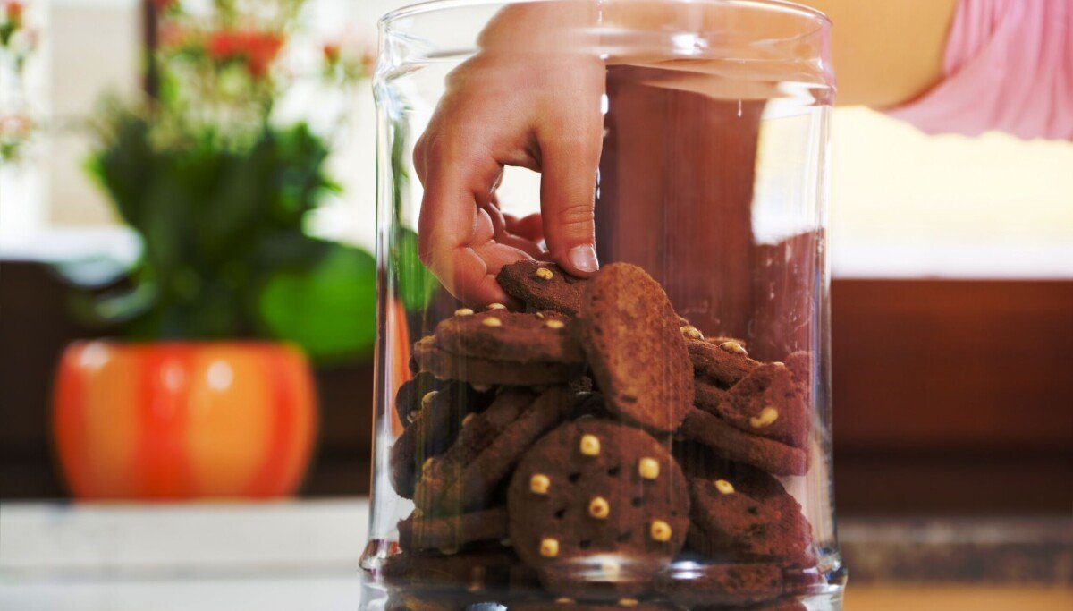Cookie thieves caught stealing dev secrets via fake Claude Code installers