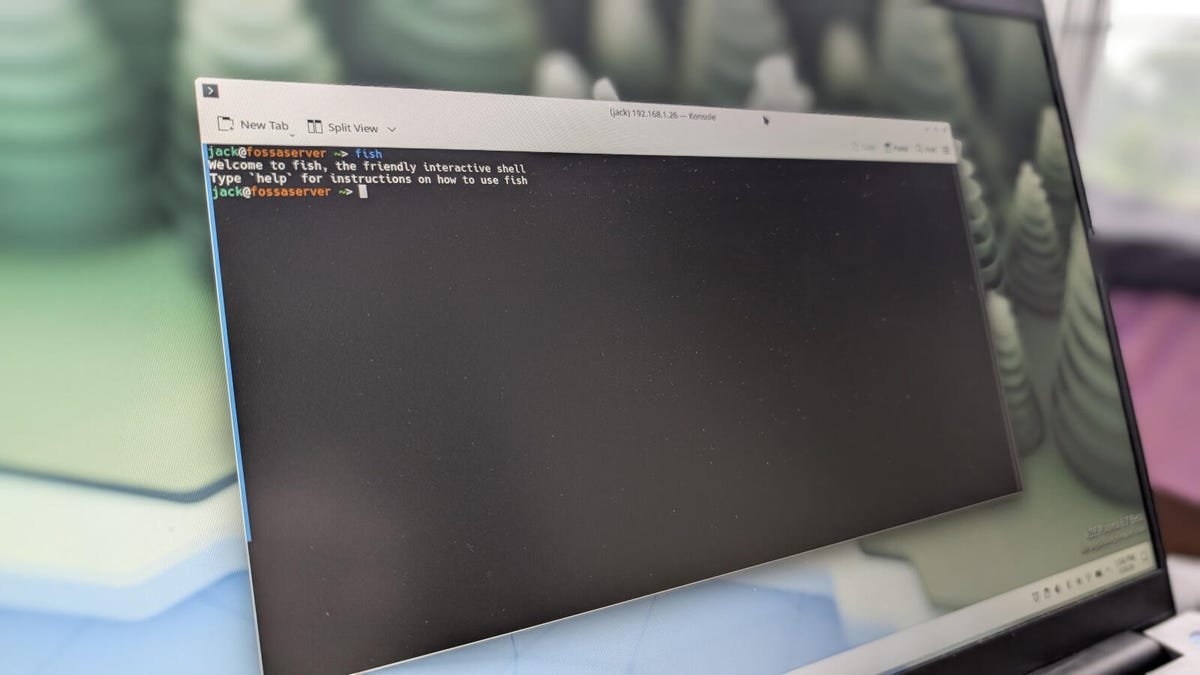 Bash vs. Fish? I've tried both Linux shells, and one makes using the command line much easier