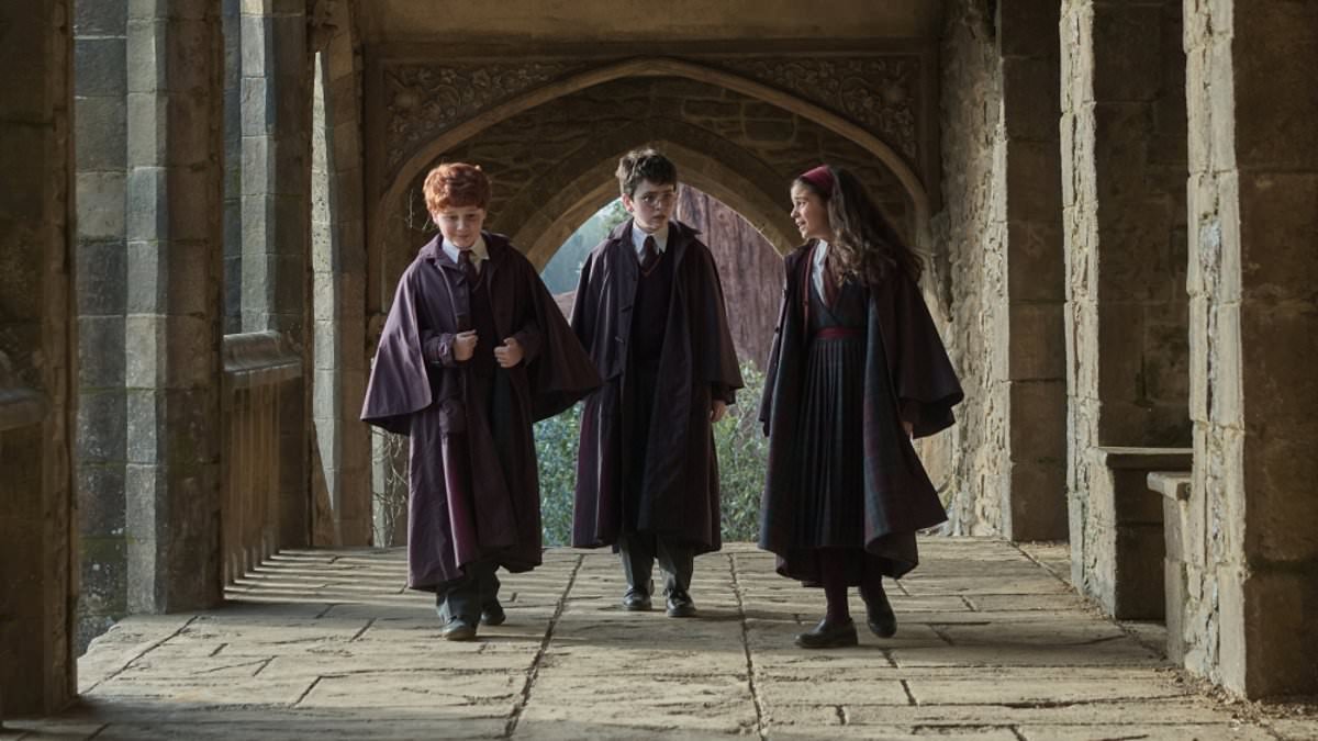 HBO bosses 'forced to microchip broomsticks and wands on set of Harry Potter series after thieves make off with number of magical props'