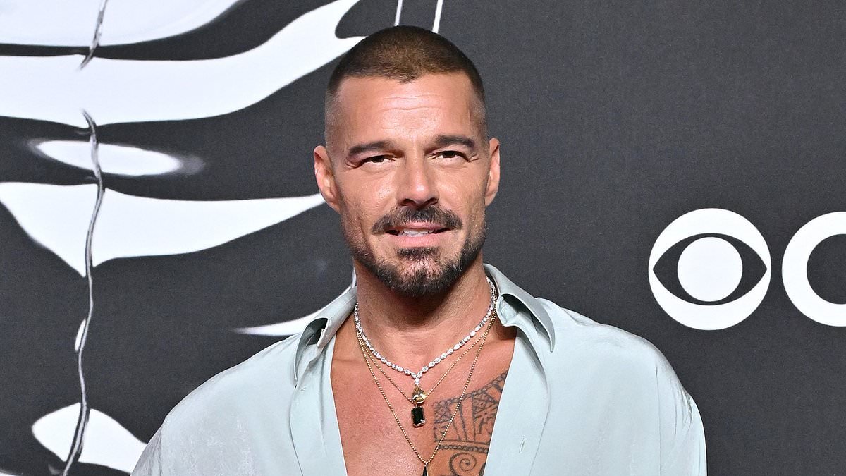 Ricky Martin concert in Montenegro comes to a halt as fan sprays tear gas toward the stage