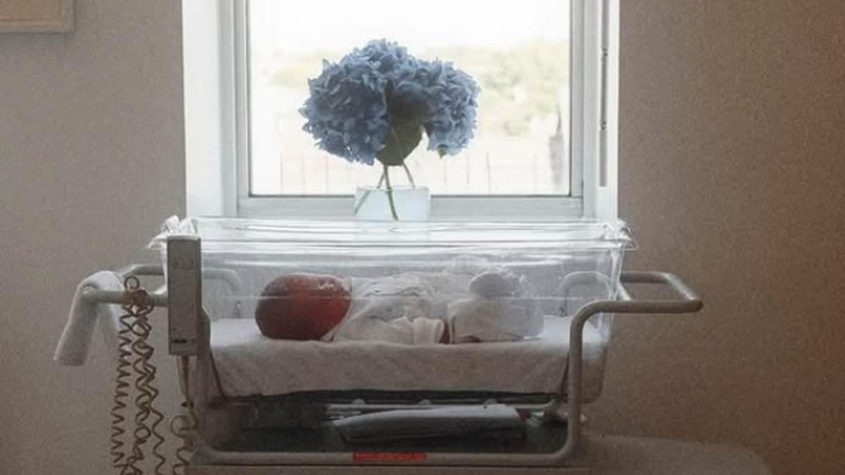 Made In Chelsea star Tabitha Willett confirms the birth of baby boy with husband Harry Hoare and reveals tot's sweet name - just seven weeks after loved-up couple tied the knot