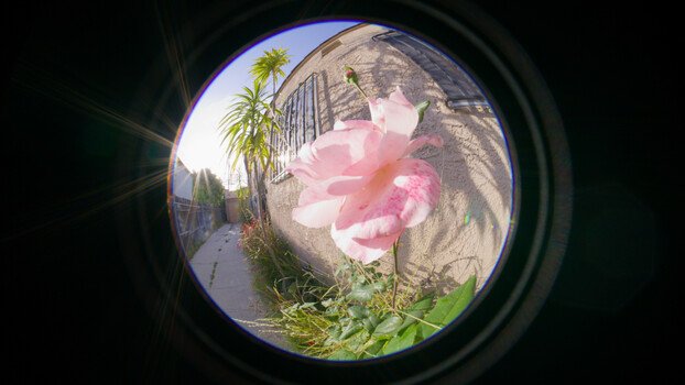 Review of the New Laowa CF 4.5-10mm f/2.8 Fisheye Zoom