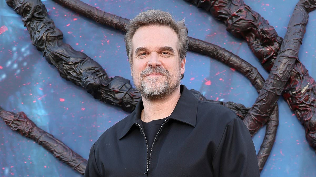 David Harbour reunites with Stranger Things co-stars seven months after skipping show's finale sendoffs