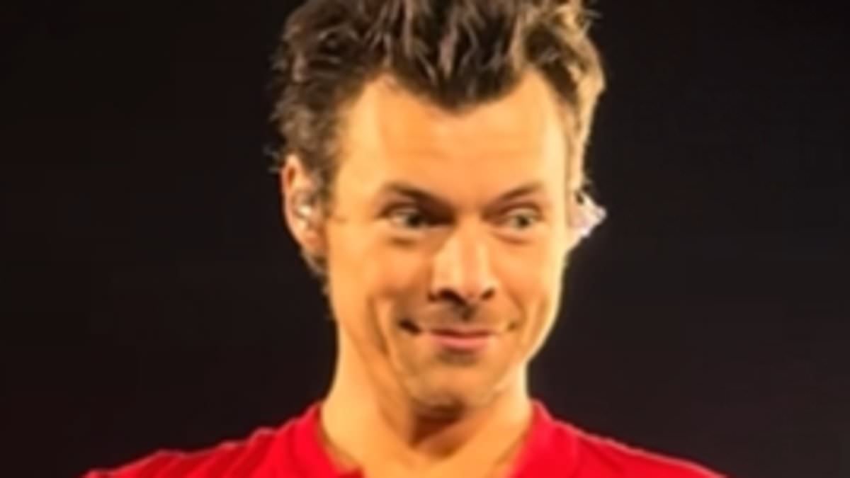 Harry Styles' fans get engaged at his concert after admitting they met at a Niall Horan gig