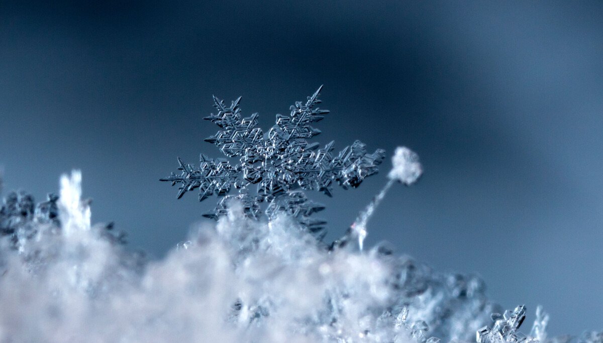 Snowflake buys Natoma to help freeze out rogue agents