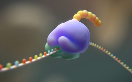 Researchers try to cut the genetic code from 20 to 19 amino acids