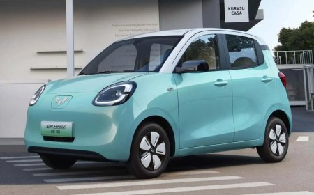 There's a lot of hype about Chinese EVs—is any of it true?