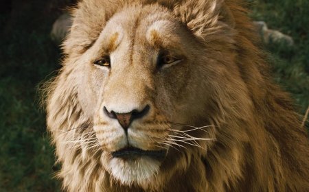 Netflix's Narnia: The Magician's Nephew delayed to 2027