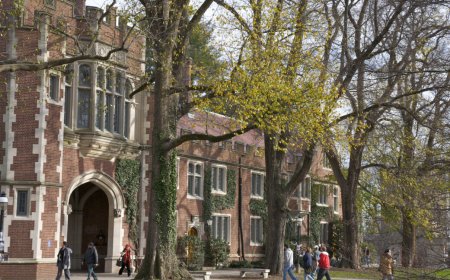 AI invades Princeton, where 30% of students cheat—but peers won't snitch