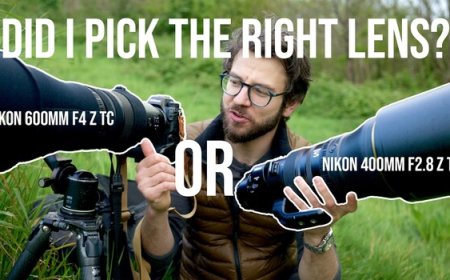The Nikon 600mm f/4 TC vs. 400mm f/2.8 TC: A Wildlife Shooter's Honest Take