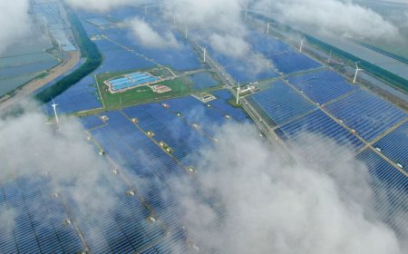 Solar power production undercut by coal pollution