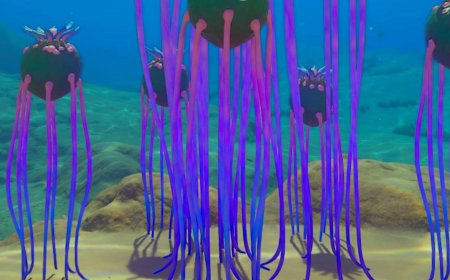 Where to find necrolei cysts for strong acid in Subnautica 2