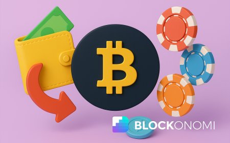 21+ Best Bitcoin Cashback Casinos & Gambling Sites: Our Top Picks & Reviews
