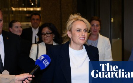 Rebel Wilson is a ‘fantastical liar’ who ‘made up terrible allegations against multiple people’, court told