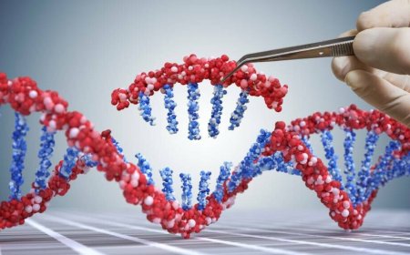 23andMe inherits lawsuit over 'disturbing' DNA data breach