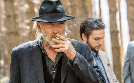 If you've been chasing the Sicario high, watch ZeroZeroZero on Prime Video