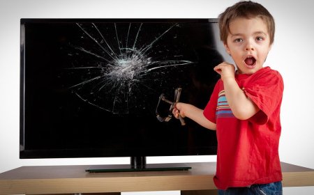 What we've been playing - "The following day, I kid you not, our TV broke"