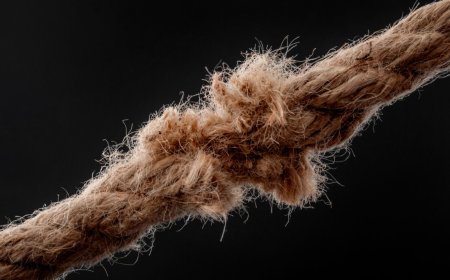 Most generative AI and custom model projects will be a bust: Gartner