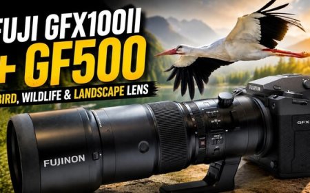 The Fujinon GF 500mm f/5.6 on the Fuji GFX 100 II: A Real-World Test Worth Seeing