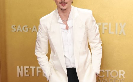 Timothée Chalamet Debuts Haircut, Shaved Face During Knicks Game